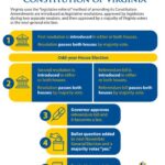 Virginia Voters: What Problem Do These Amendments Solve?
